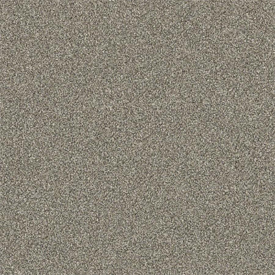 carpet-1